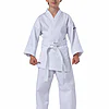 karate-gui