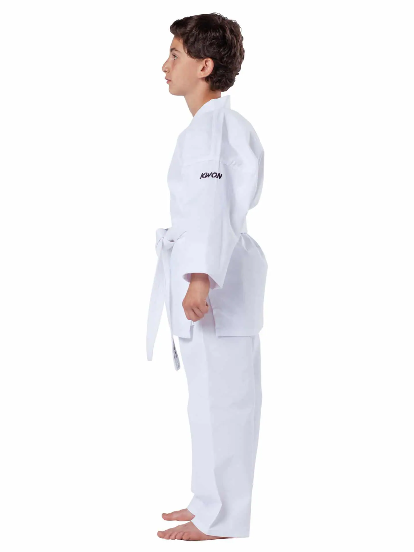 karate-gui