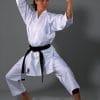 karate-gui