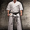 karate-gui