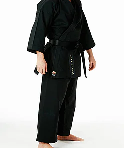 karate-gui