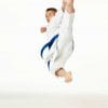 karate-gui