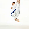 karate-gui