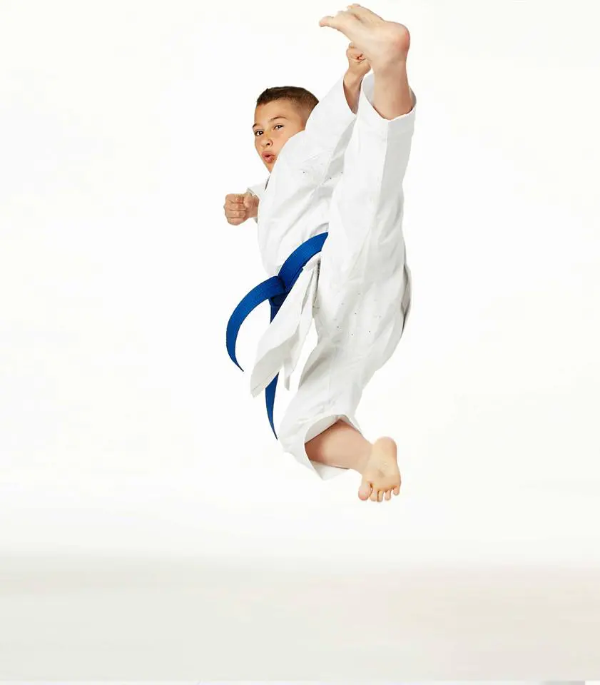 karate-gui