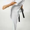 karate-gui