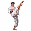 karate-gui