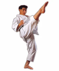 karate-gui