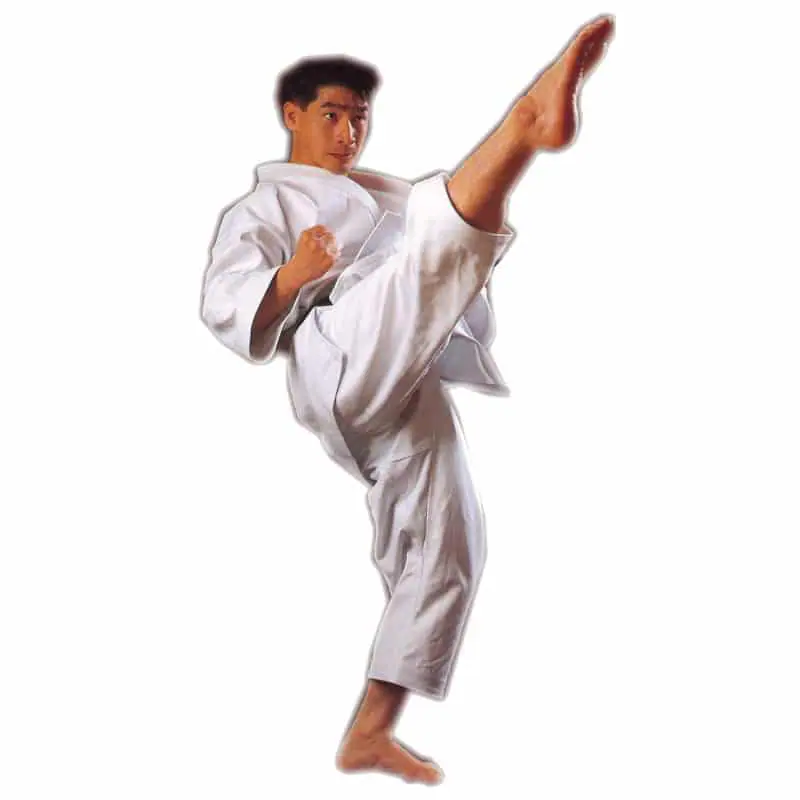 karate-gui