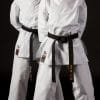 CHAQUETA DE karate-gui Shureido New Wave 3 - Aprobada por la WKF 27 Karate-Gi