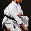 CHAQUETA DE karate-gui Shureido New Wave 3 - Aprobada por la WKF 28 Karate-Gi