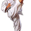 karate-gui