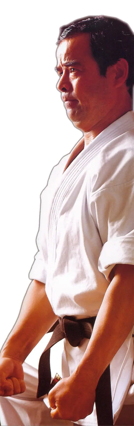 karate-gui