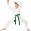 karate-gui Tokaido SHOSHIN 1 karate-gui