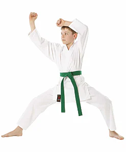 karate-gui