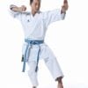 karate-gui