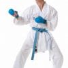 karate-gui