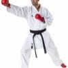 karate-gui