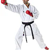 karate-gui