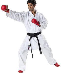 karate-gui