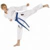 karate-gui