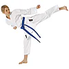karate-gui