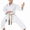 karate-gui