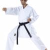 karate-gui