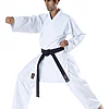karate-gui