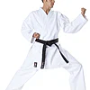 karate-gui