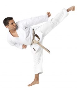 Karate-Gi Tokaido ULTIMATE - SIERRA - 12oz - Made in Japan - 185 (usada)
