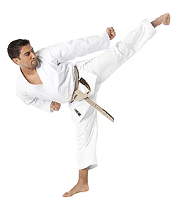 Karate-Gi Tokaido ULTIMATE - SIERRA - 12oz - Made in Japan - 185 (usada)