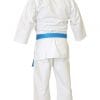 karate-gui