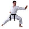 karate-gui
