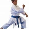 karate-gui kamikaze económico SPECIAL JUNIOR 2 karate-gui kamikaze económico SPECIAL JUNIOR