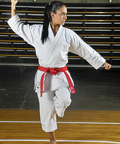 karate-gui Kamikaze PRIMERO KATA-gangaku-kamae