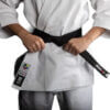 karate-gui