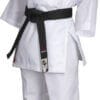 karate-gui