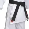 karate-gui