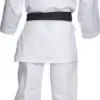 karate-gui