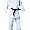 karate-gui