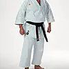 karate-gui