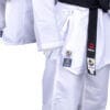 karate-gui