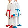 karate-gui