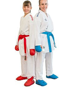 karate-gui