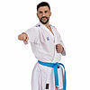 karate-gui