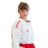 karate-gui