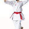 Tokaido Kata Master