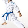 Tokaido Kata Master