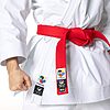 Tokaido Kata Master