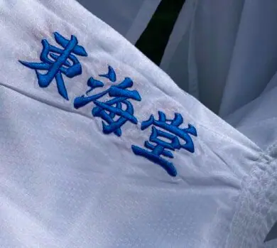 Karate-gui Tokaido Kumite Master Raw Premier League - WKF 8 karate-gui